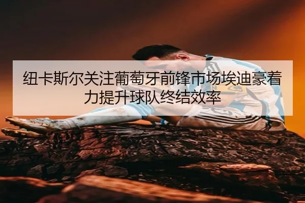 纽卡斯尔关注葡萄牙前锋市场埃迪豪着力提升球队终结效率